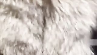 【69堂免费视频】约操抖音网红舞蹈学生