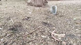 【69堂免费视频】下流母狗羞恥露出