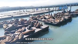 【69堂免费视频】下流母狗羞恥露出