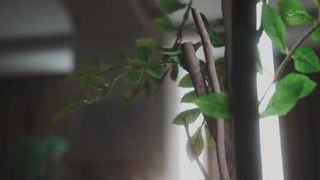 【69堂免费视频】现在，失踪的我深爱的妻子的强奸视频已经以_DVD_的形式发送给我了……悲惨的戴绿帽子和连续中出“她是一个淫荡的女人，除了你之外_3