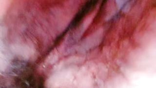 【69堂免费视频】顶级爆乳小护士！9分颜值身材爆炸！居家展示，撩起衣服一对豪乳，多毛骚逼流白浆，翘起美臀摇摆