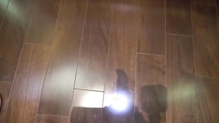 【69堂午夜视频】生命结束了