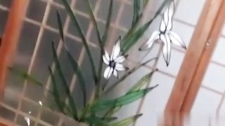 【69堂午夜视频】黑料吃瓜-17岁学生妹李岩婷高新工作网络面试_结果竟然是诈骗_导致裸体视频被高价售卖.mp4