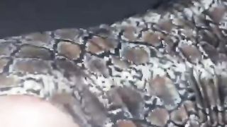 【69堂午夜视频】黑料吃瓜-云盘泄露_沧州师范学院极品身材美女辅导员_女神级人物被学生开房_这肥臀后入怎能不迷恋