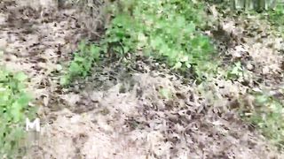 【69堂午夜视频】带妹妹去山上挖野菜 妹妹逼痒难耐想打野战