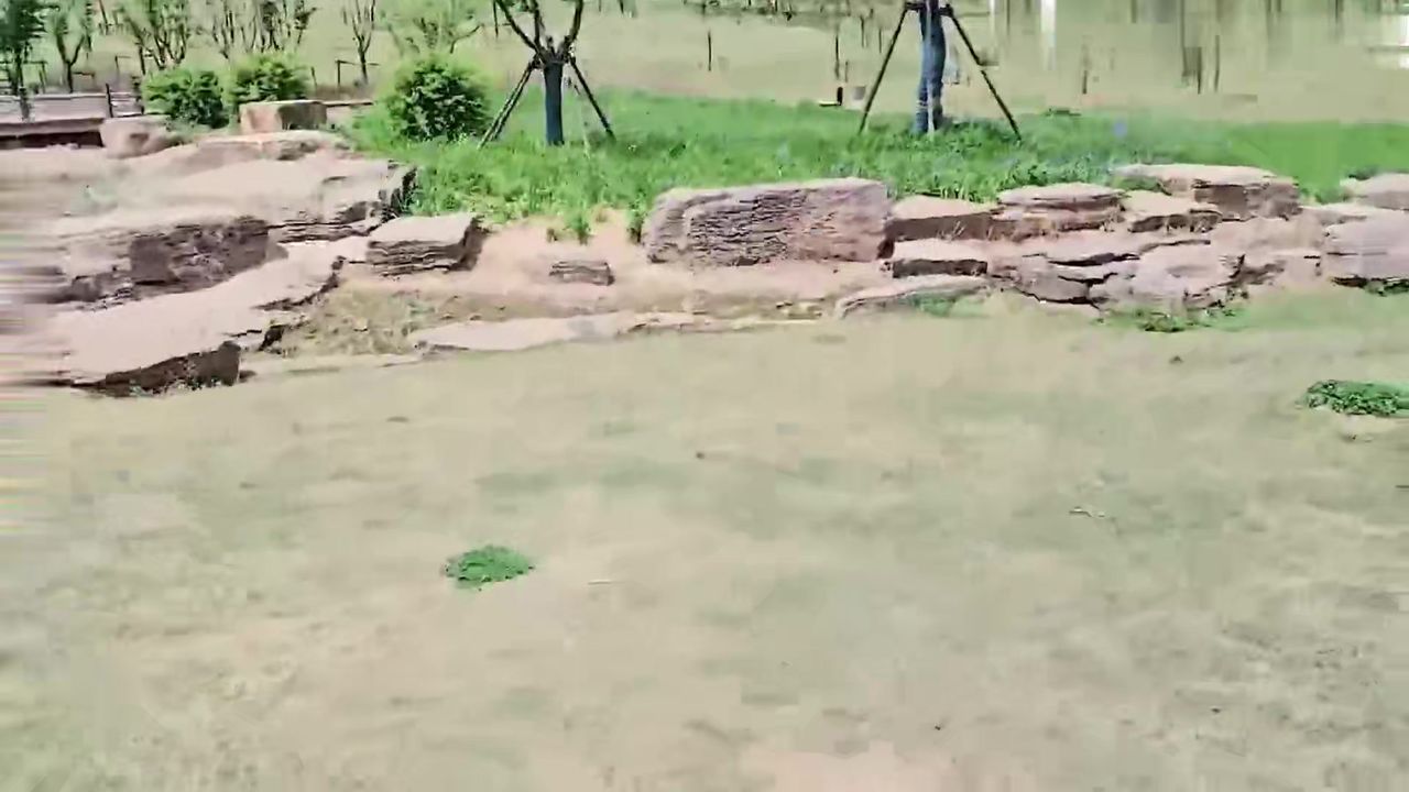 【69堂午夜视频】光天化日刺激寻欢 周末带着妹妹去公园散步 半天找不到厕所