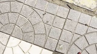 【69堂午夜视频】黑丝足交挑逗最后肥臀直接骑乘让大鸡巴全部射给我