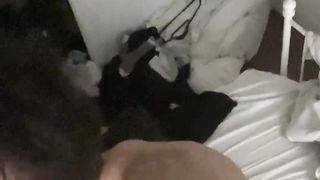 【69堂午夜视频】深喉吃鸡太舒服全部射到脸上